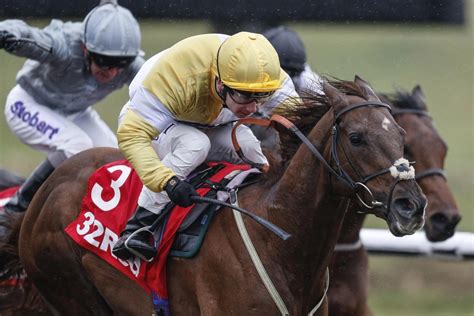 myracingtips|the sun horse racing tips.